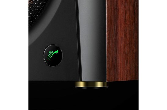 Swan D300 hifi Stereo Actieve Bluetooth 5.0 Boekenplank Luidsprekers