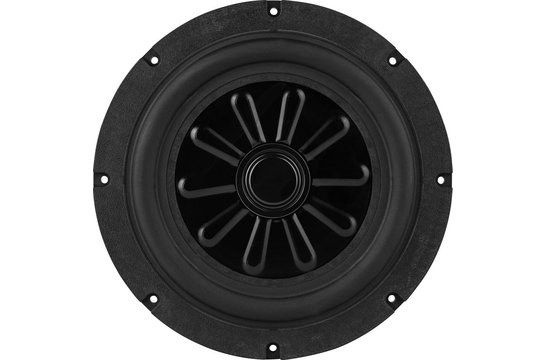 tang band 8 subwoofer