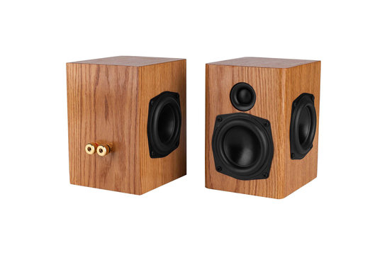 Passive Aggressive | Mini Speaker Kit | Pair