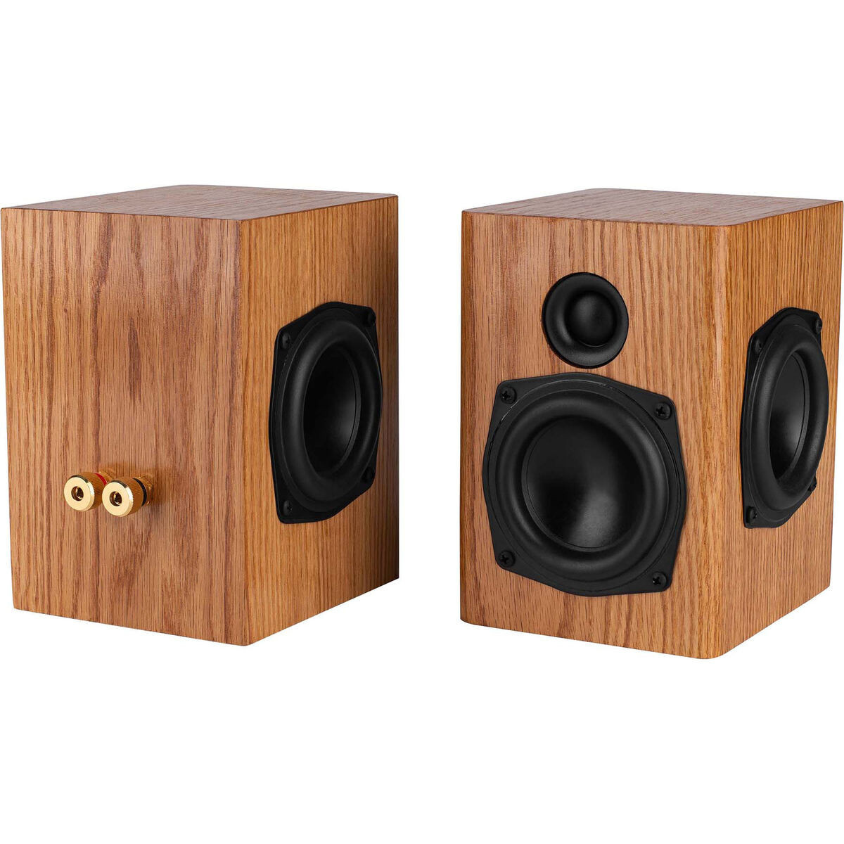 Passive Aggressive Mini Speaker Kit