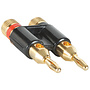 Gold Dual Banana Plug | BLACK