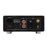 ICE1000-1CH Amplificatore Mono | Powered by ICEpower