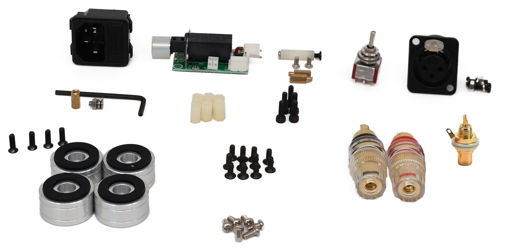 DIY Mono Verstärker Bausatz | 170WPC | Powered by ICEpower