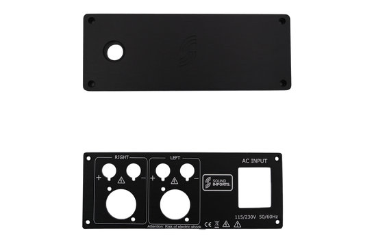 DIY Stereo Verstärker Bausatz | 250WPC | Powered by ICEpower