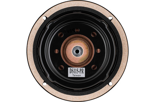 Designer DS115-PR Radiatore Passivo