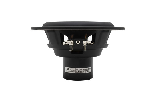 W5-1138SM 5-1/4" Neodymium Subwoofer