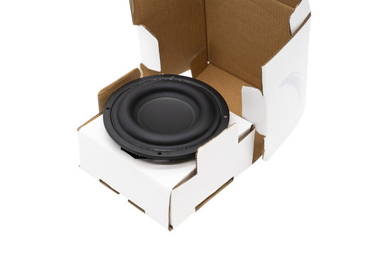 W5-1138SM 5-1/4" Neodymium Subwoofer