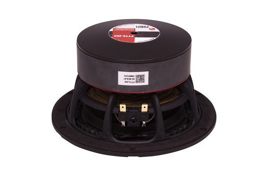 PTT5.25X04-NFA-01 Woofer a Gamma Media