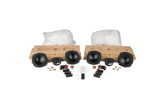 AviaTrix-RST DIY Kit Altoparlante