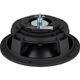 RSS210-PR Passive Radiator