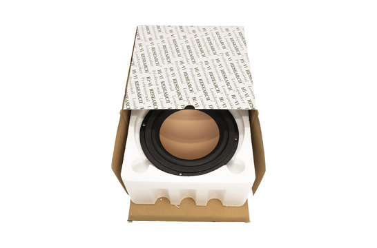 Swan M6N Woofer Medio-Bassi