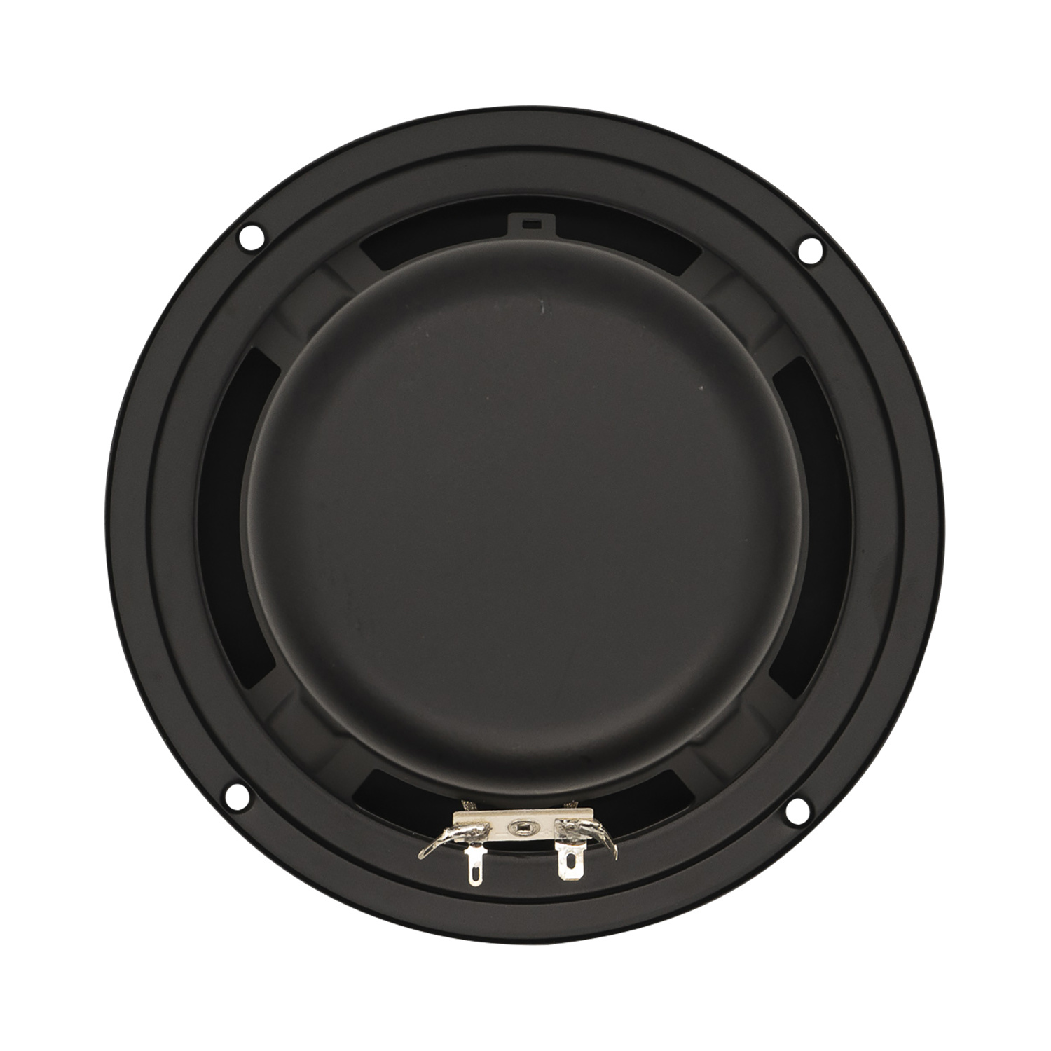 Swan M6N 6" Aluminum / Magnesium Midbass