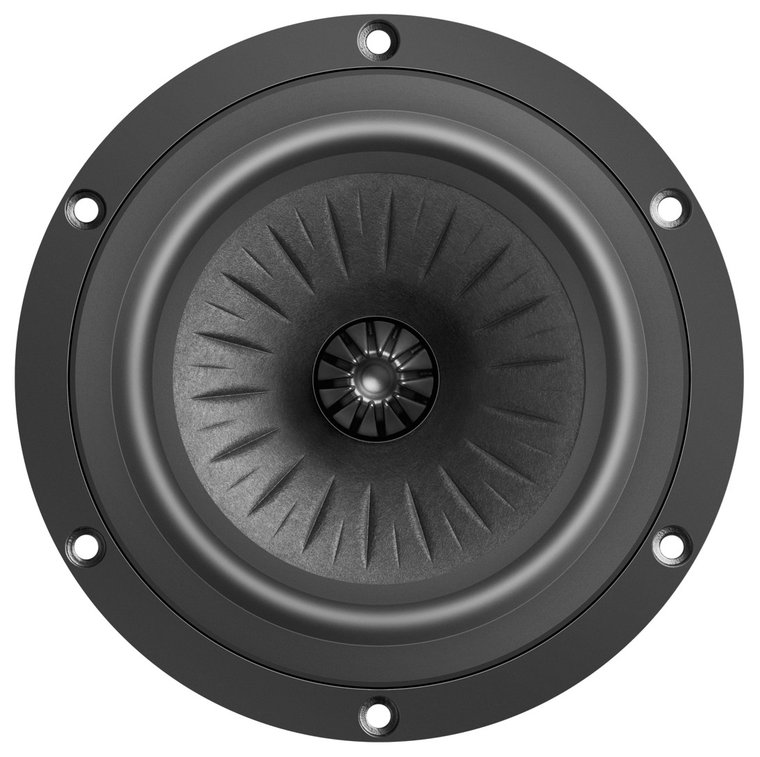 5-512/C8/25 RP Bass-mid Woofer