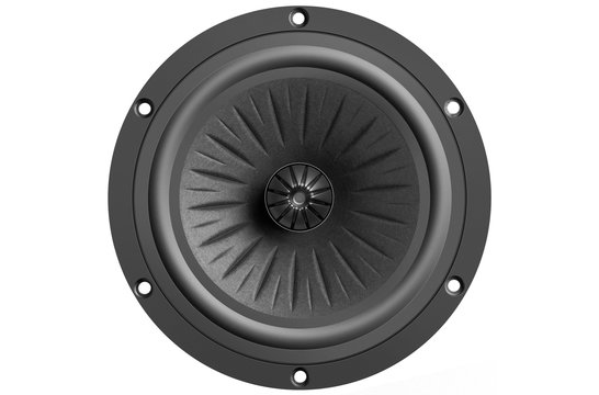 7-512/C8/32 RP Bass-mid Woofer