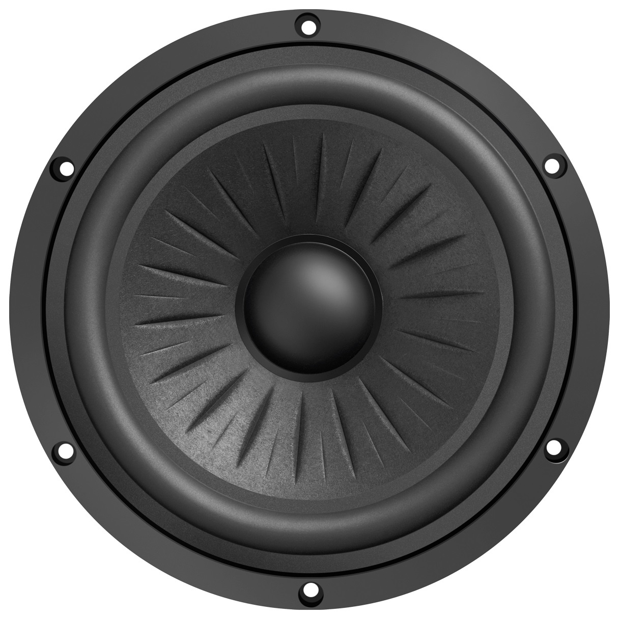 8-612/C8/32 RP Bass-mid Woofer