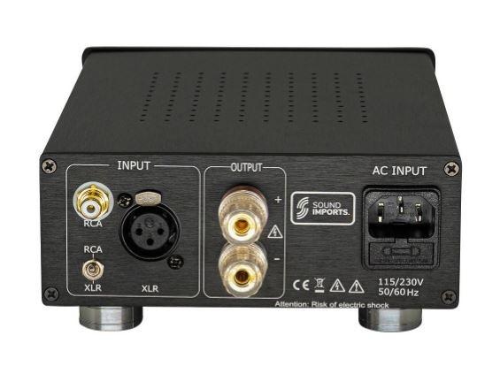 DIY Mono amplifier kit | 170WPC | Powered by ICEpower