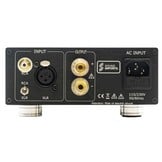 DIY Mono Verstärker Bausatz | 170WPC | Powered by ICEpower