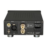 ICE50-1CH-MXR(B) Mono Amplifier | 170WPC | Powered by ICEpower