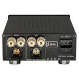 ICE125-2CH Stereo Versterker | 125W | Powered by ICEpower