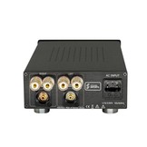 DIY Kit Amplificatore Stereo | 250WPC | Powered by ICEpower