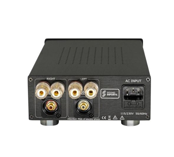 DIY Stereo amplifier kit | 250WPC | Powered by ICEpower