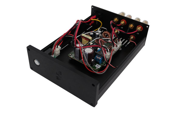 DIY Stereo versterker kit | Powered by ICEpower