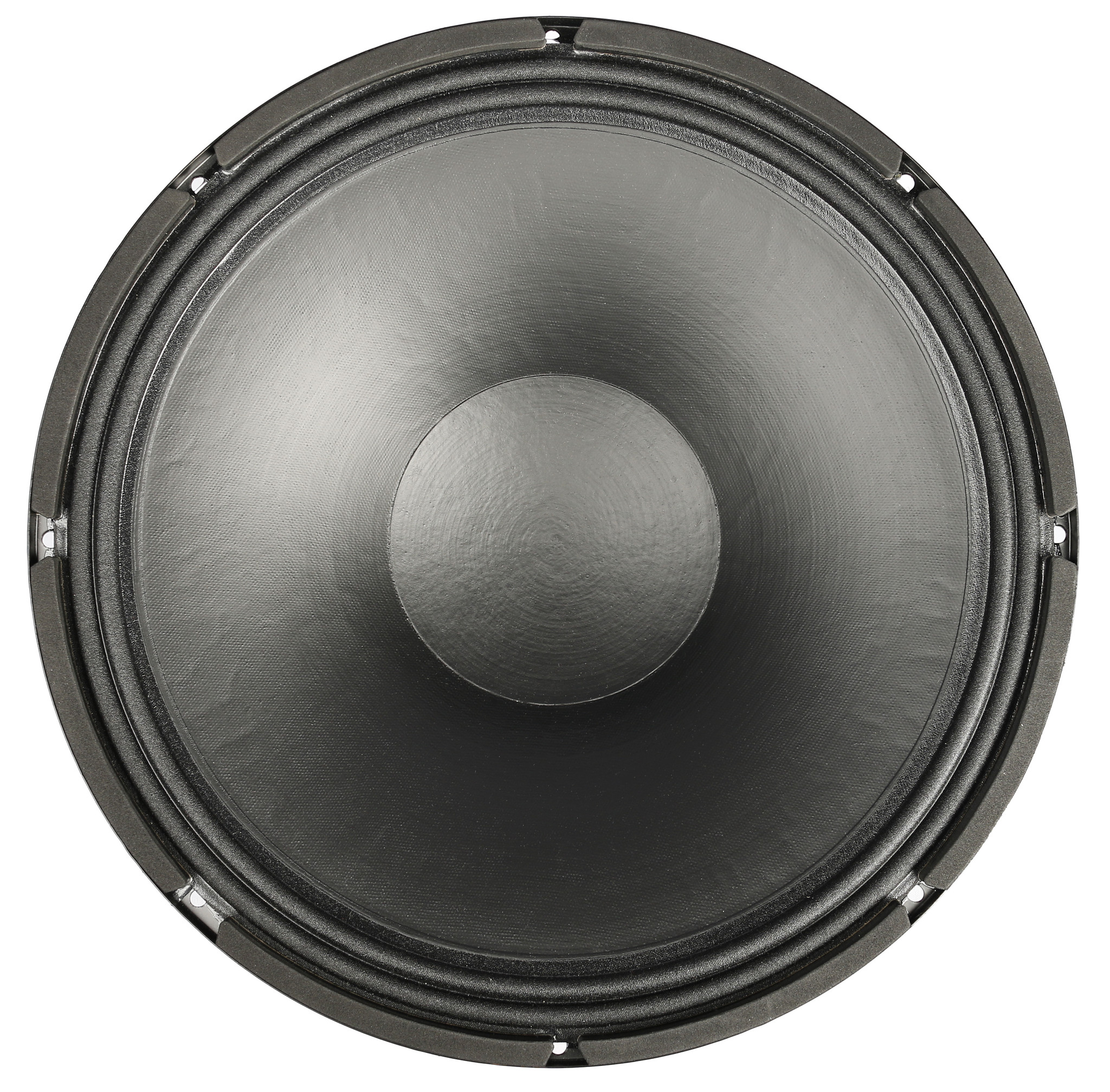 BIANCO-15W200 Woofer