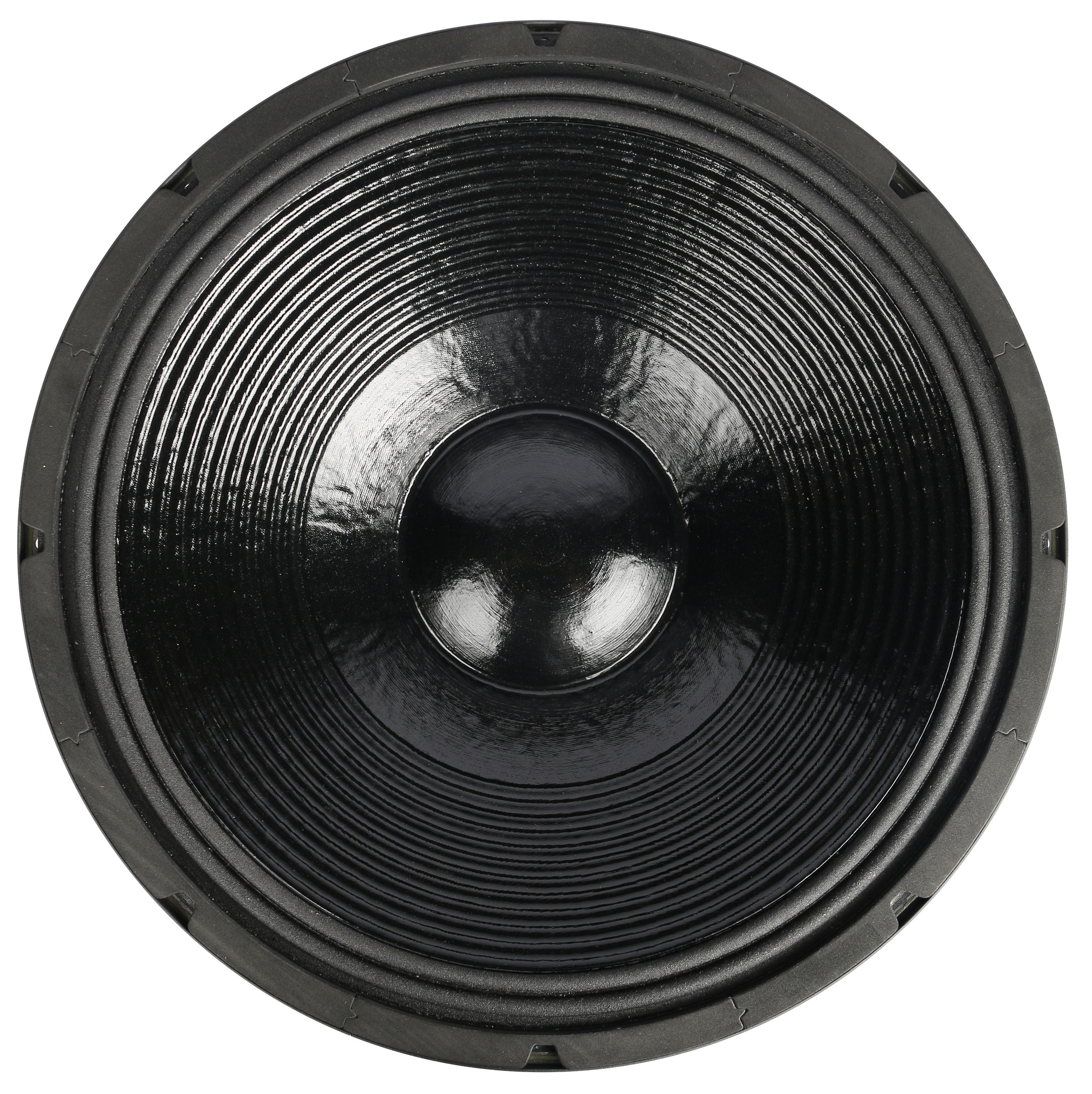 ROSSO-21SW800 Subwoofer