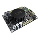 AA-JA32171 2 x 50 Watt klasse D audioversterkermodule