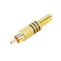 Vergulde male RCA plug zwart