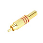 Gold Male RCA Plug Red