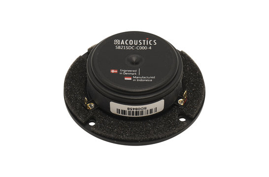 SB21SDC-C000-4 Ring Tweeter a Cupola