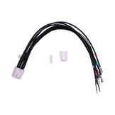 EVAL2 Eigentakt Mono Amplifier Kit