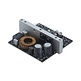 250A 250W Pro Modulo Amplificatore