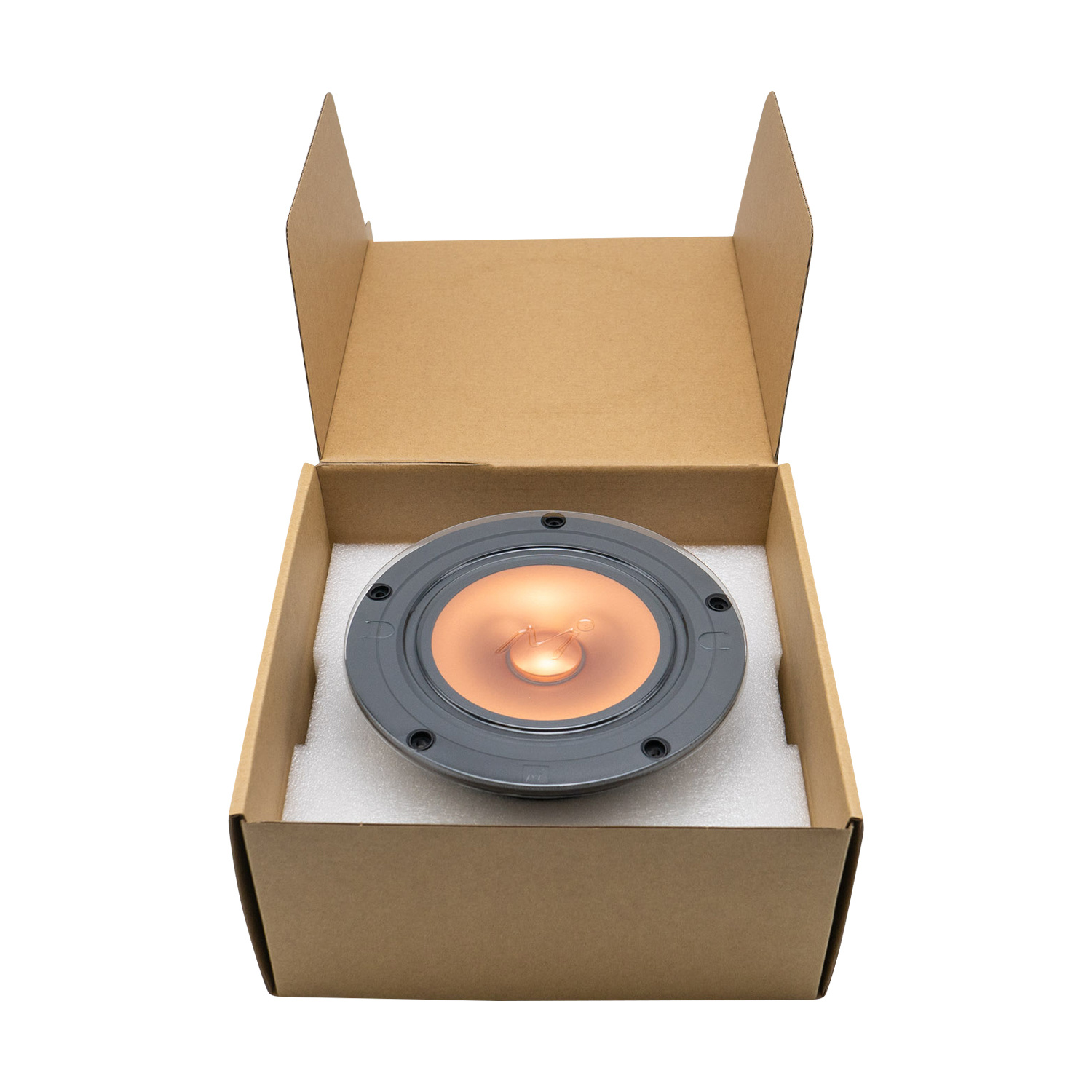 Alpair-11MS Gold Full-range Woofer