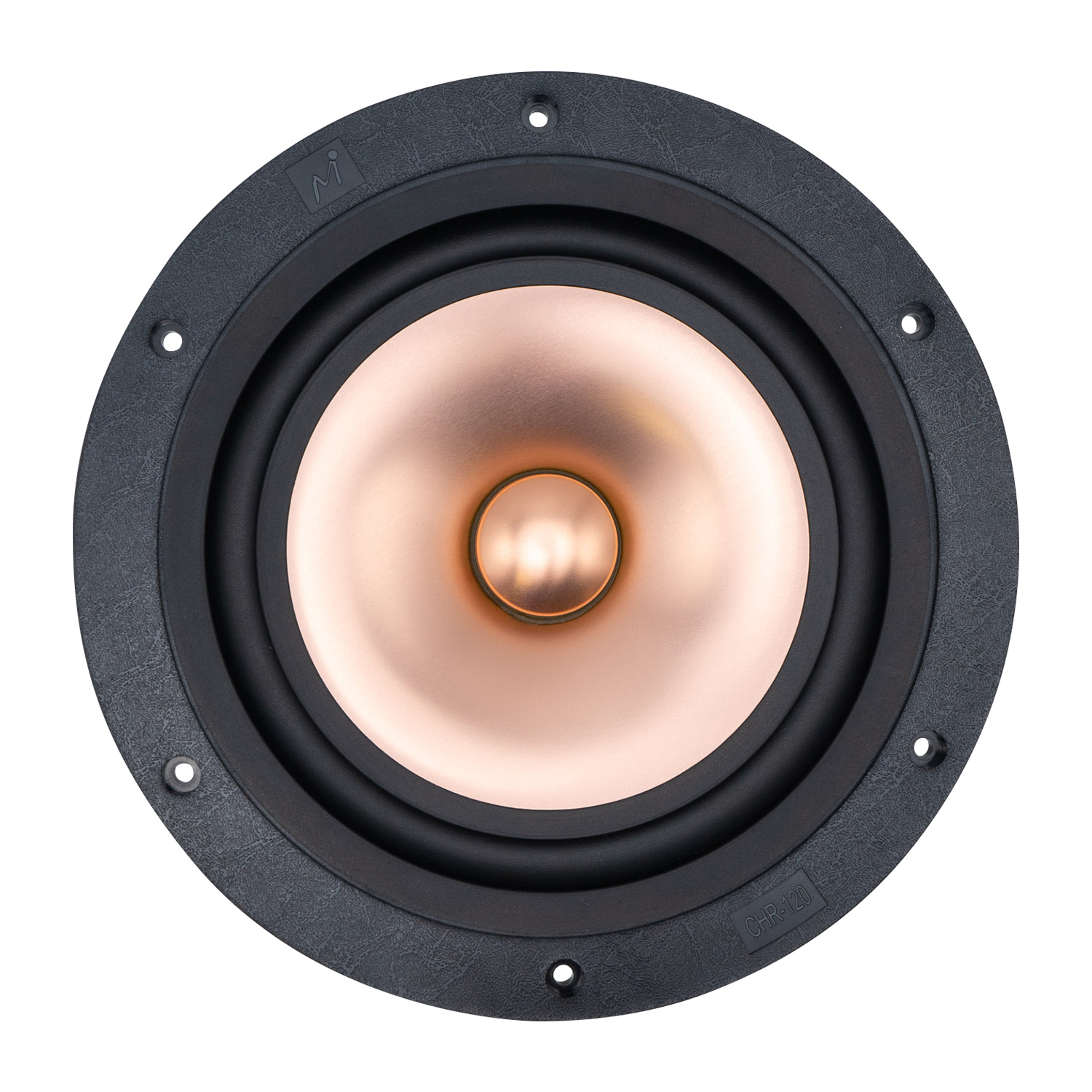 CHR-120 Gold Woofer a Gamma Completa