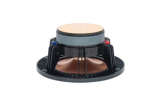 CHR-120 Gold Woofer a Gamma Completa