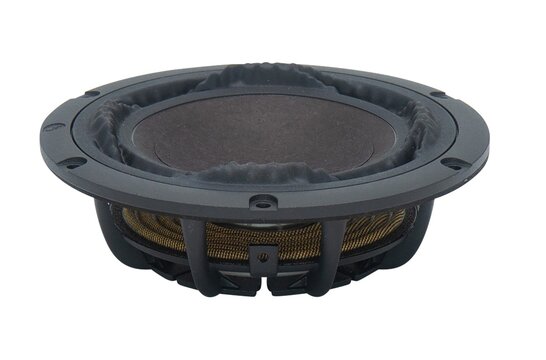 PTT5.25PR-NF2-01 5,25'' Ultra Low Distortion Passive Radiator