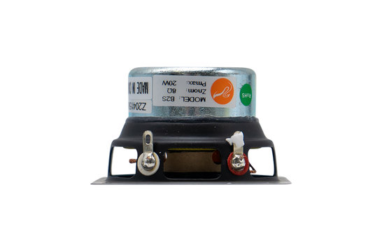 Swan B2S Full-range Woofer