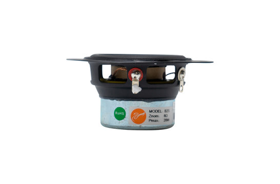 Swan B2S Full-range Woofer