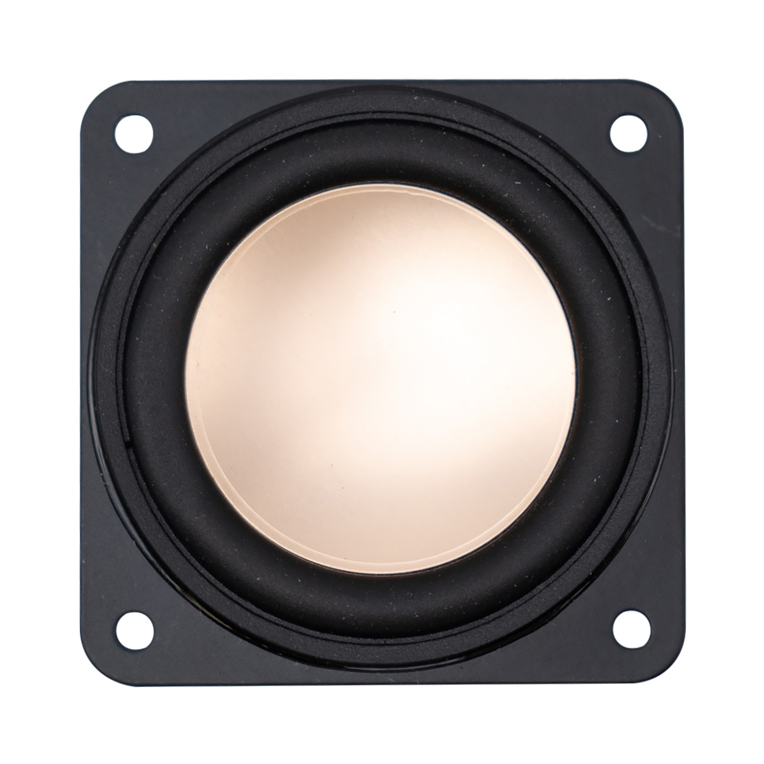 Swan B2S Full-range Woofer