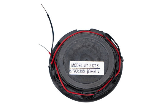 W1-2121S Aluminum Full Range Neodymium Driver