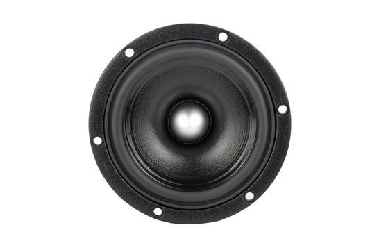 Lotus RM120 - L0021-04S Midrange woofer