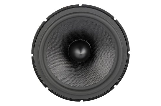 Lotus PW165/1 - L0018-04S Woofer