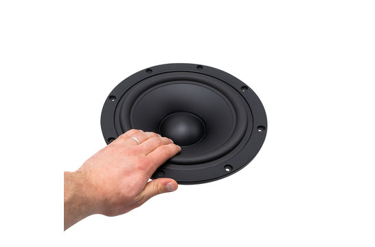 SB29SWNRX-S75-6 Subwoofer Tieftöner