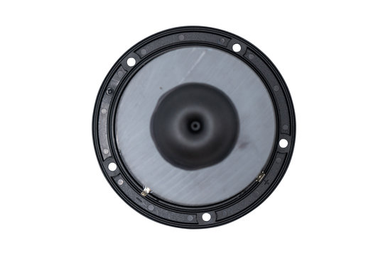 XT25BG60-04 1" Ring Radiator Tweeter