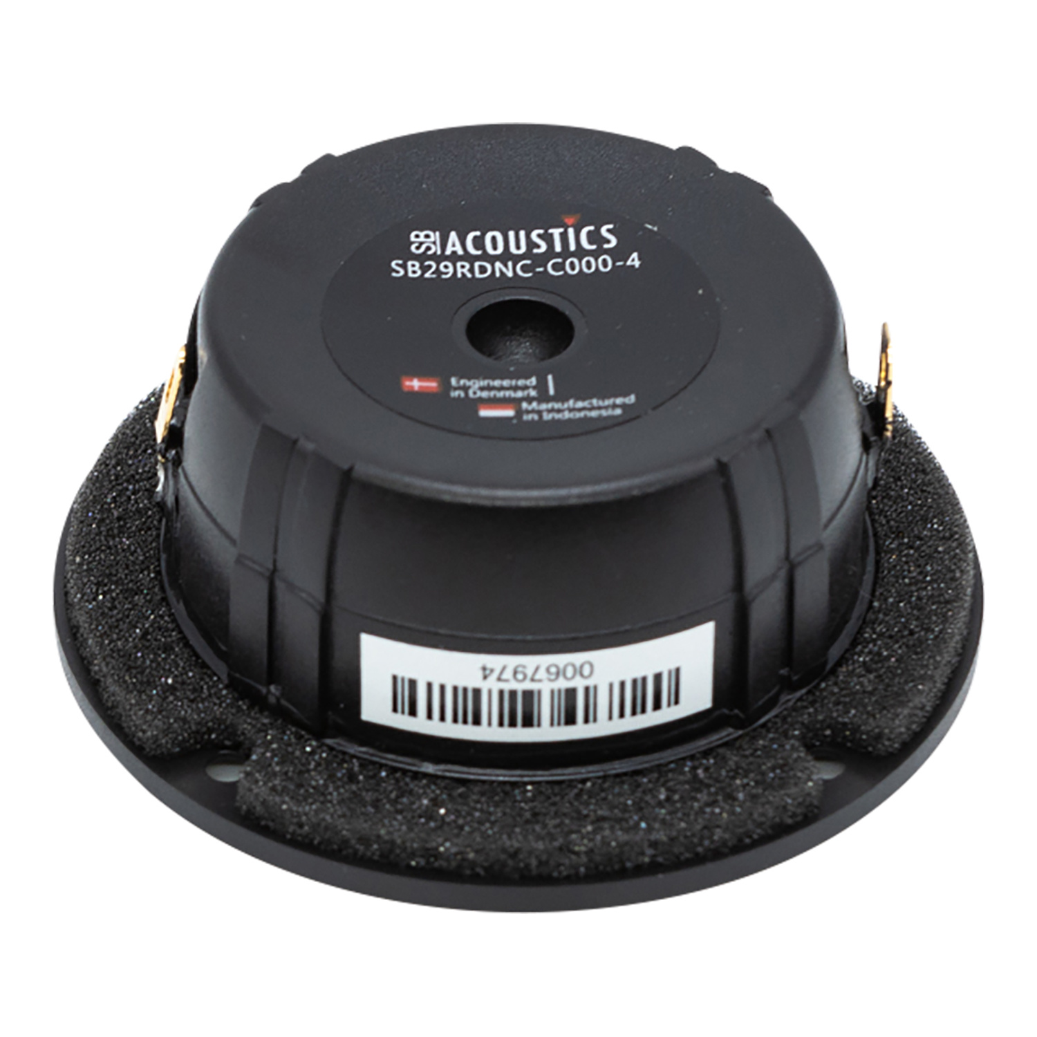 SB29RDNC-C000-4 Ring Tweeter a Cupola