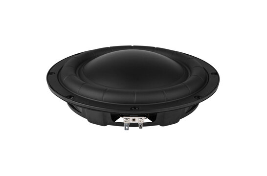GBS-250F38CP01-04 Subwoofer