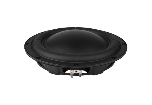 GBS-250F38CP01-04 Subwoofer