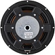 GBS-250F38CP01-04 10" Shallow subwoofer 4 Ohm